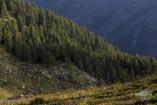 Gran Paradiso Trail 2019 Ph Pierre Lucianaz 5