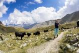 Gran Paradiso Trail 2019 Ph Pierre Lucianaz 97