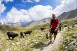 Gran Paradiso Trail 2019 Ph Pierre Lucianaz 98