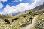 Gran Paradiso Trail 2019 Ph Pierre Lucianaz 100