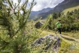 Gran Paradiso Trail 2019 Ph Pierre Lucianaz 120