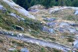 gparadisovertical 2021 46